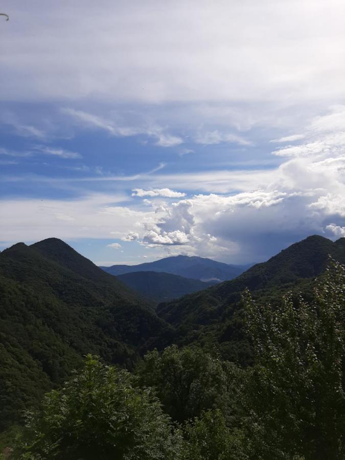 B&B La Locanda Del Cinghiale Aurano Eksteriør billede