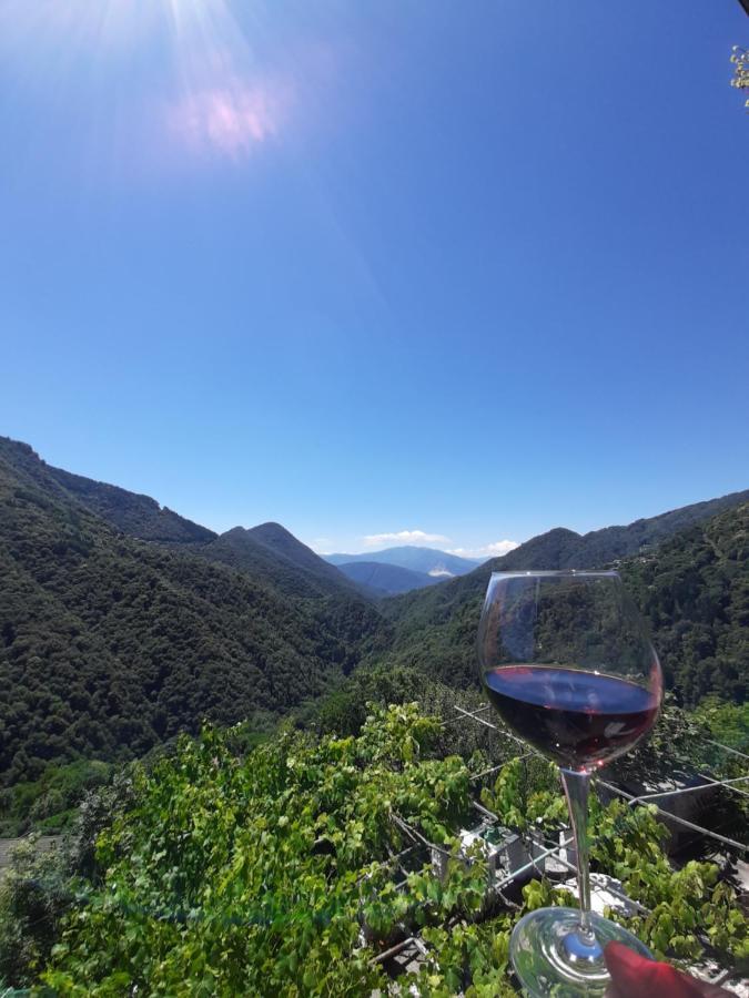 B&B La Locanda Del Cinghiale Aurano Eksteriør billede