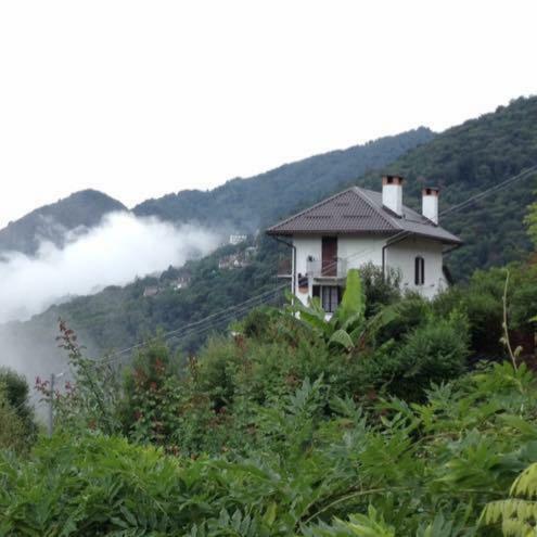B&B La Locanda Del Cinghiale Aurano Eksteriør billede